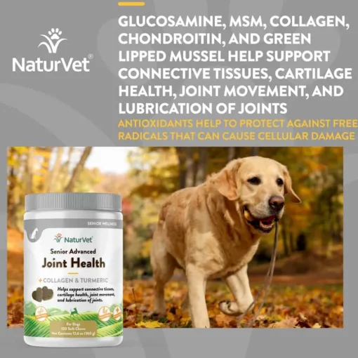 Outlet NaturVet Senior Advanced Joint Health Supplement for Dogs