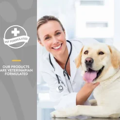 Outlet NaturVet Senior Advanced Joint Health Supplement for Dogs