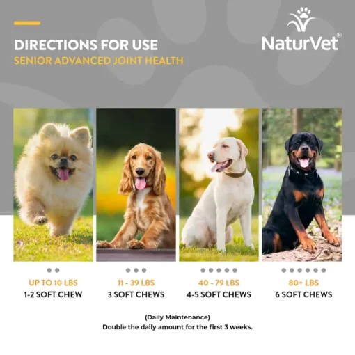 Outlet NaturVet Senior Advanced Joint Health Supplement for Dogs