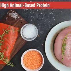Best Nulo FreeStyle Puppy Large Breed Grain-Free Salmon and Turkey Dry Dog Food