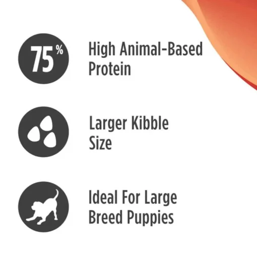 Best Nulo FreeStyle Puppy Large Breed Grain-Free Salmon and Turkey Dry Dog Food