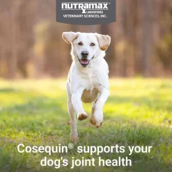 Best Nutramax Cosequin for Dogs Joint Health Supplement Contains Glucosamine for Dogs Plus Chondroitin MSM and Omega-3s Supports Joint and Skin and Coat Health For All Breeds and Sizes