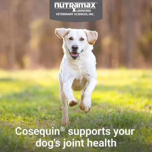 Best Nutramax Cosequin for Dogs Joint Health Supplement Contains Glucosamine for Dogs Plus Chondroitin MSM and Omega-3s Supports Joint and Skin and Coat Health For All Breeds and Sizes