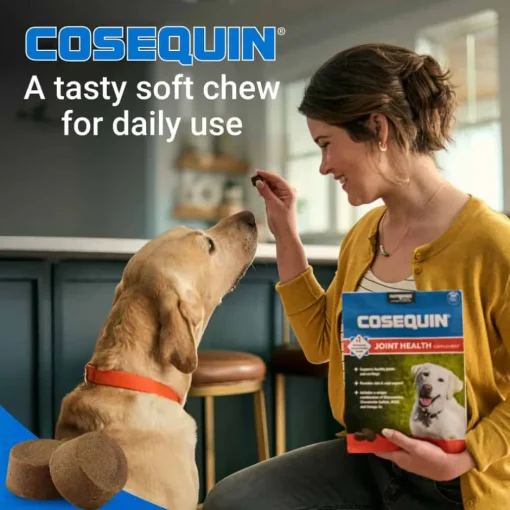 Best Nutramax Cosequin for Dogs Joint Health Supplement Contains Glucosamine for Dogs Plus Chondroitin MSM and Omega-3s Supports Joint and Skin and Coat Health For All Breeds and Sizes