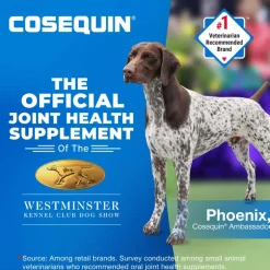 Best Nutramax Cosequin for Dogs Joint Health Supplement Contains Glucosamine for Dogs Plus Chondroitin MSM and Omega-3s Supports Joint and Skin and Coat Health For All Breeds and Sizes