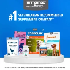 Best Nutramax Cosequin for Dogs Joint Health Supplement Contains Glucosamine for Dogs Plus Chondroitin MSM and Omega-3s Supports Joint and Skin and Coat Health For All Breeds and Sizes