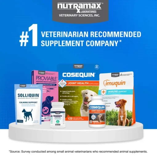 Best Nutramax Cosequin for Dogs Joint Health Supplement Contains Glucosamine for Dogs Plus Chondroitin MSM and Omega-3s Supports Joint and Skin and Coat Health For All Breeds and Sizes