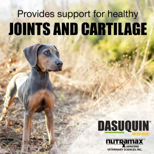 New Nutramax Dasuquin Joint Health Supplement - With Glucosamine, Chondroitin, ASU, MSM, Boswellia Serrata Extract, Green Tea Extract