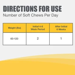 Online Nutramax Dasuquin ® with MSM Joint Health Soft Chew Supplement for Large Breed Dogs