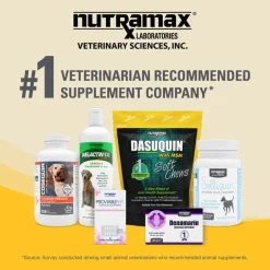 Online Nutramax Dasuquin ® with MSM Joint Health Soft Chew Supplement for Large Breed Dogs