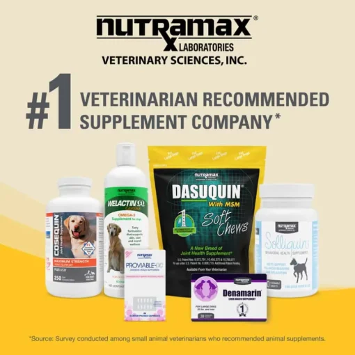 Online Nutramax Dasuquin ® with MSM Joint Health Soft Chew Supplement for Large Breed Dogs