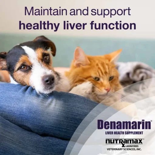 Fashion Nutramax Denamarin ® Liver Health Supplement with SAMe + Silybin Blister Packed Coated Tablets for Dogs and Cats