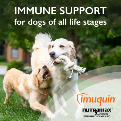 Online Nutramax Imuquin ® Immune Support Powdered Supplement for Dogs