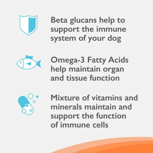 Online Nutramax Imuquin ® Immune Support Powdered Supplement for Dogs