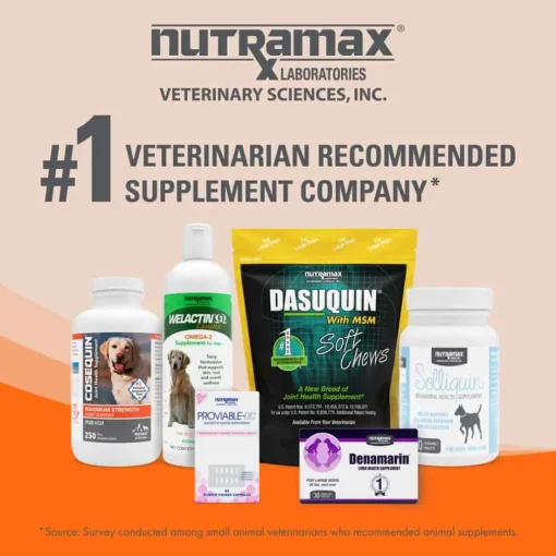 Online Nutramax Imuquin ® Immune Support Powdered Supplement for Dogs
