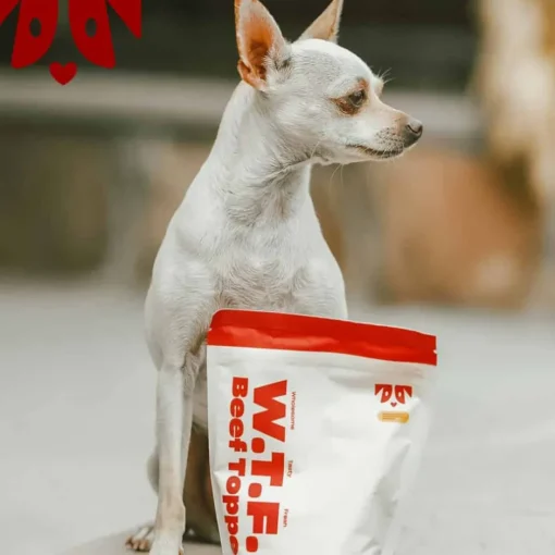 New OH NORMAN! OH NORMAN ! WTF Human Grade Beef Food Topper for Dogs