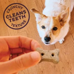 Outlet Old Mother Hubbard Mother's Solutions Hip & Joint Natural Oven-Baked Biscuits Dog Treats