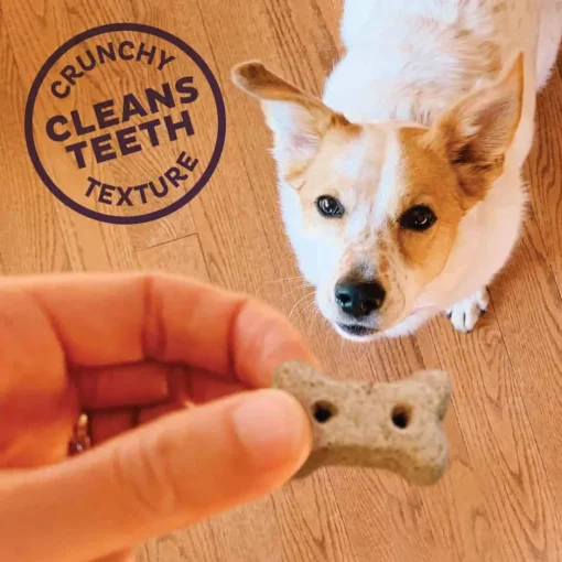 Outlet Old Mother Hubbard Mother's Solutions Hip & Joint Natural Oven-Baked Biscuits Dog Treats