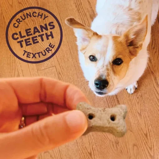 Sale Old Mother Hubbard Mother's Solutions Minty Fresh Breath Natural Oven-Baked Biscuits Dog Treats