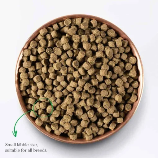 Best Open Farm Ancient Grains Puppy Dry Dog Food