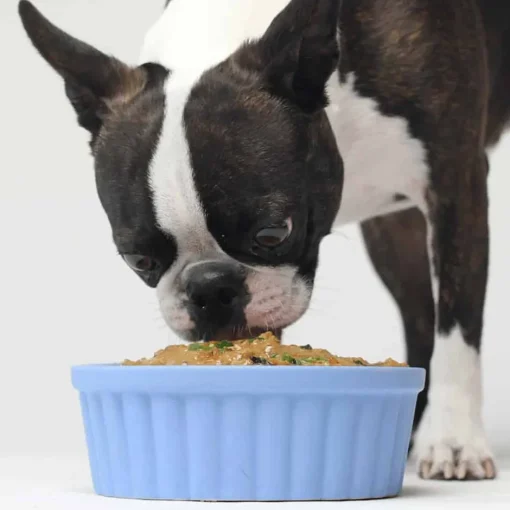 Best Open Farm Grain Free Chicken & Salmon Recipe Rustic Stew Wet Dog Food