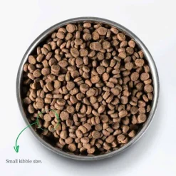 Outlet Open Farm Grain Free Wild Caught Salmon Recipe Dry Cat Food