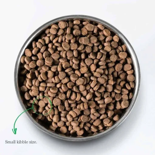 Outlet Open Farm Grain Free Wild Caught Salmon Recipe Dry Cat Food