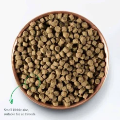 Clearance Open Farm Wild-Caught Salmon & Ancient Grains Recipe Dry Dog Food