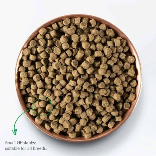 Clearance Open Farm Wild-Caught Salmon & Ancient Grains Recipe Dry Dog Food