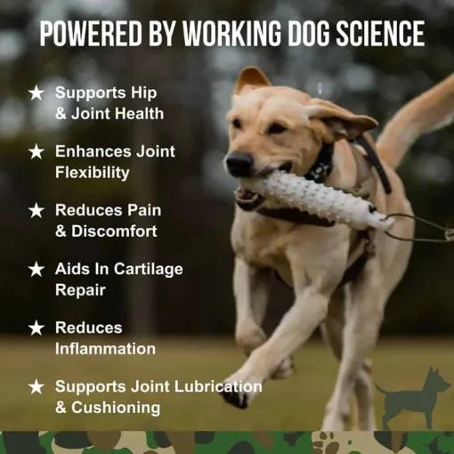 New Operation Good Boy SRE: Hip & Joint Supplement for Dogs