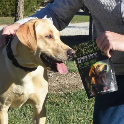 New Operation Good Boy SRE: Hip & Joint Supplement for Dogs