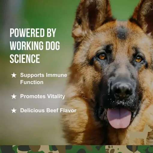 Fashion Operation Good Boy SRE: Immunity Supplement for Dogs