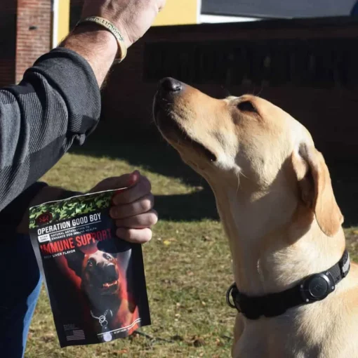 Fashion Operation Good Boy SRE: Immunity Supplement for Dogs