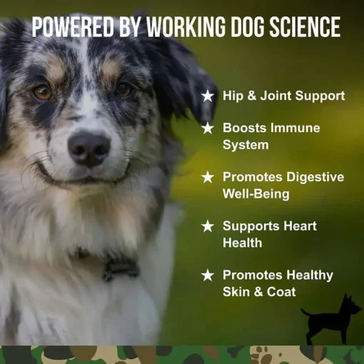 New Operation Good Boy SRE: Multi -Functional Supplement for Dogs