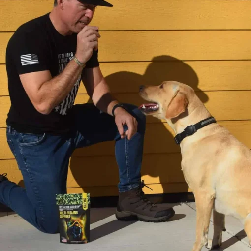 New Operation Good Boy SRE: Multi -Functional Supplement for Dogs