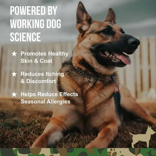 Outlet Operation Good Boy SRE: Skin Health & Allergy Supplement for Dogs