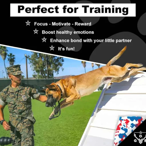 Hot Operation Good Boy TRE - Freedom Dog Treats - Beef Squares