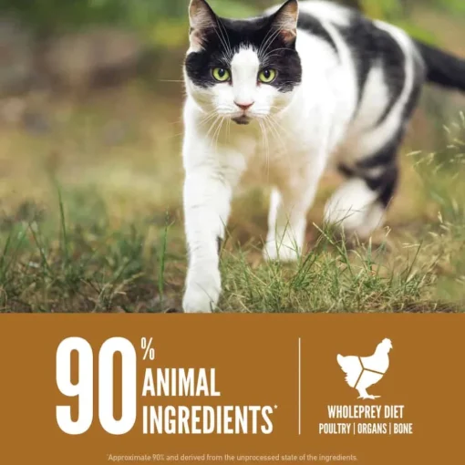 Online Orijen Original Dry Cat Food