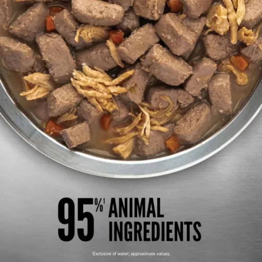 New Orijen Premium Chicken Stew Recipe with Shredded Chicken & Eggs Wet Dog Food