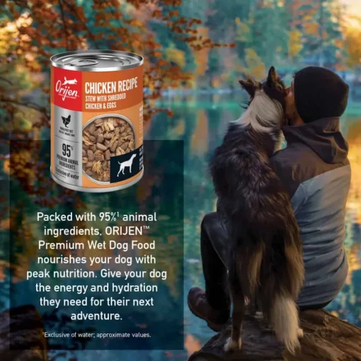 New Orijen Premium Chicken Stew Recipe with Shredded Chicken & Eggs Wet Dog Food