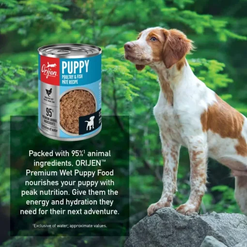 Clearance Orijen Puppy Poultry & Fish Pate Wet Dog Food