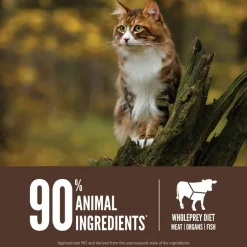 Sale Orijen Regional Red Dry Cat Food