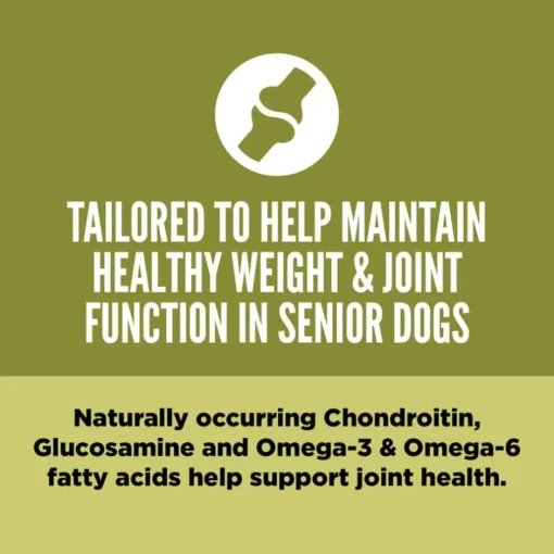 Best Orijen Senior Dry Dog Food