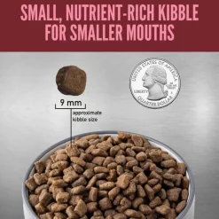 Best Orijen Small Breed Dry Dog Food