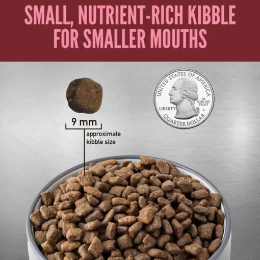 Best Orijen Small Breed Dry Dog Food