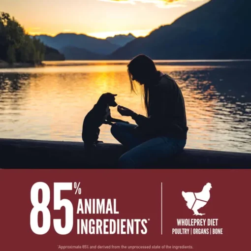 Best Orijen Small Breed Dry Dog Food