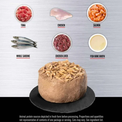 New Orijen Tuna, Salmon + Beef Entree in Bone Broth Wet Cat Food