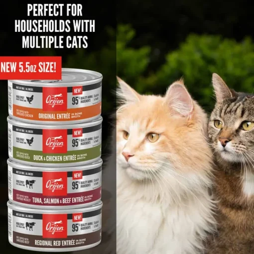 New Orijen Tuna, Salmon + Beef Entree in Bone Broth Wet Cat Food