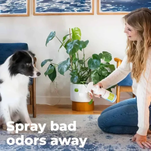 Discount Oxyfresh Advanced All Purpose Pet Deodorizer for Dogs & Cats