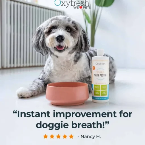 Best Oxyfresh Premium Pet Dental Water Additive Bad Breath Solution for Dogs & Cats